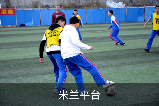 米兰平台公司简介图片